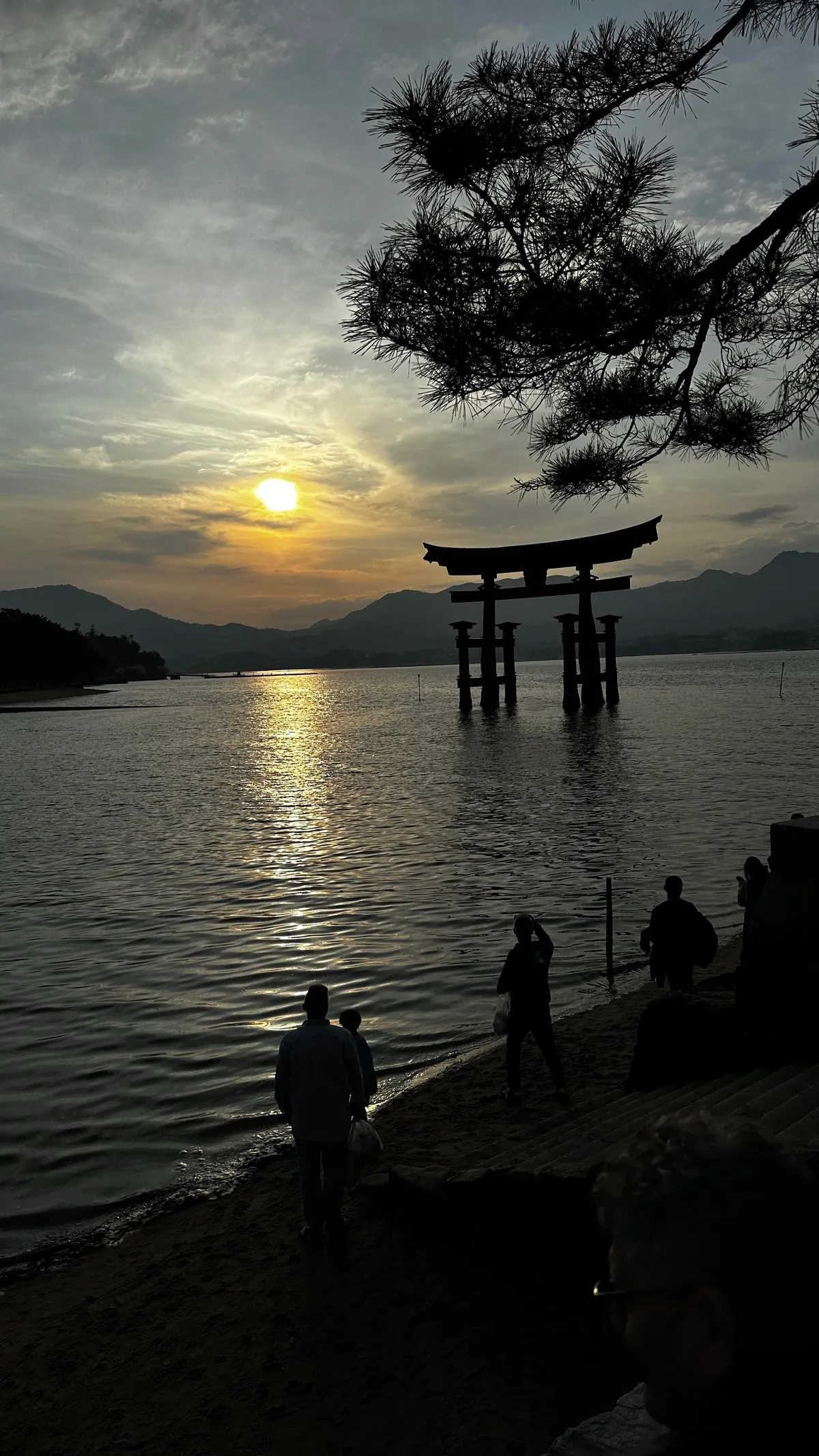 Japan 🇯🇵 is unreal