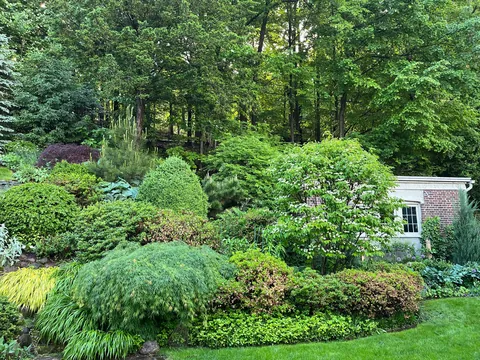 Photos of the backyard section of my mom's garden post-rain!