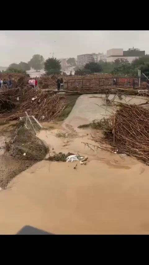 After the passage of the great storm through Valencia, scenes like these multiply, seeking to rescue every living being without resting, being authentic brothers