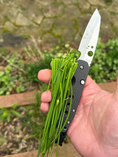 [homemade] chorizo, potato and eggs