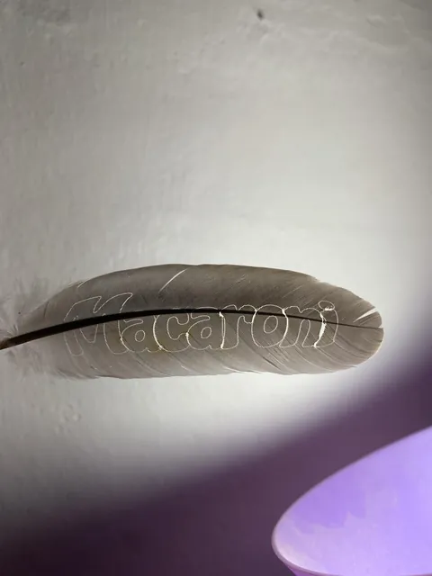 I laser-engraved the word Macaroni onto a feather today