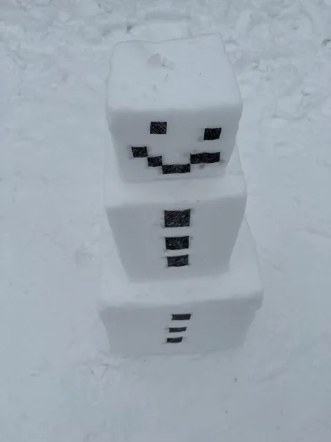 Found this cute snowman in the park