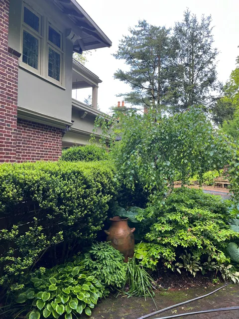 Photos of the backyard section of my mom's garden post-rain!