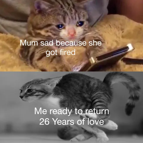 It’s okay mum they don’t deserve you