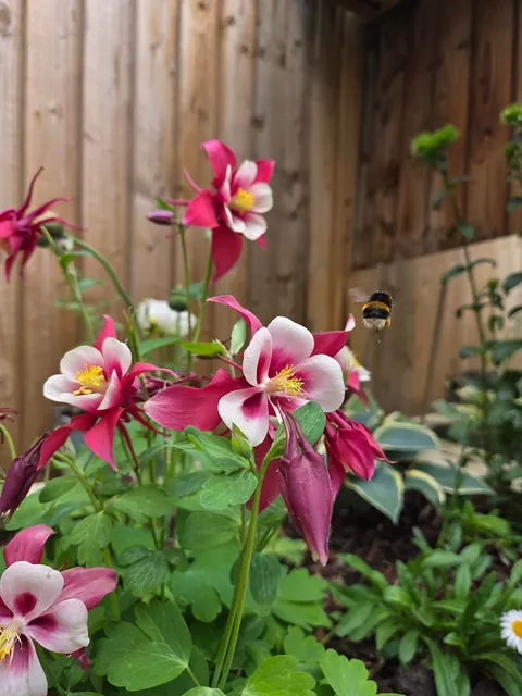 For the lovely soul who stole my photo, here are more.