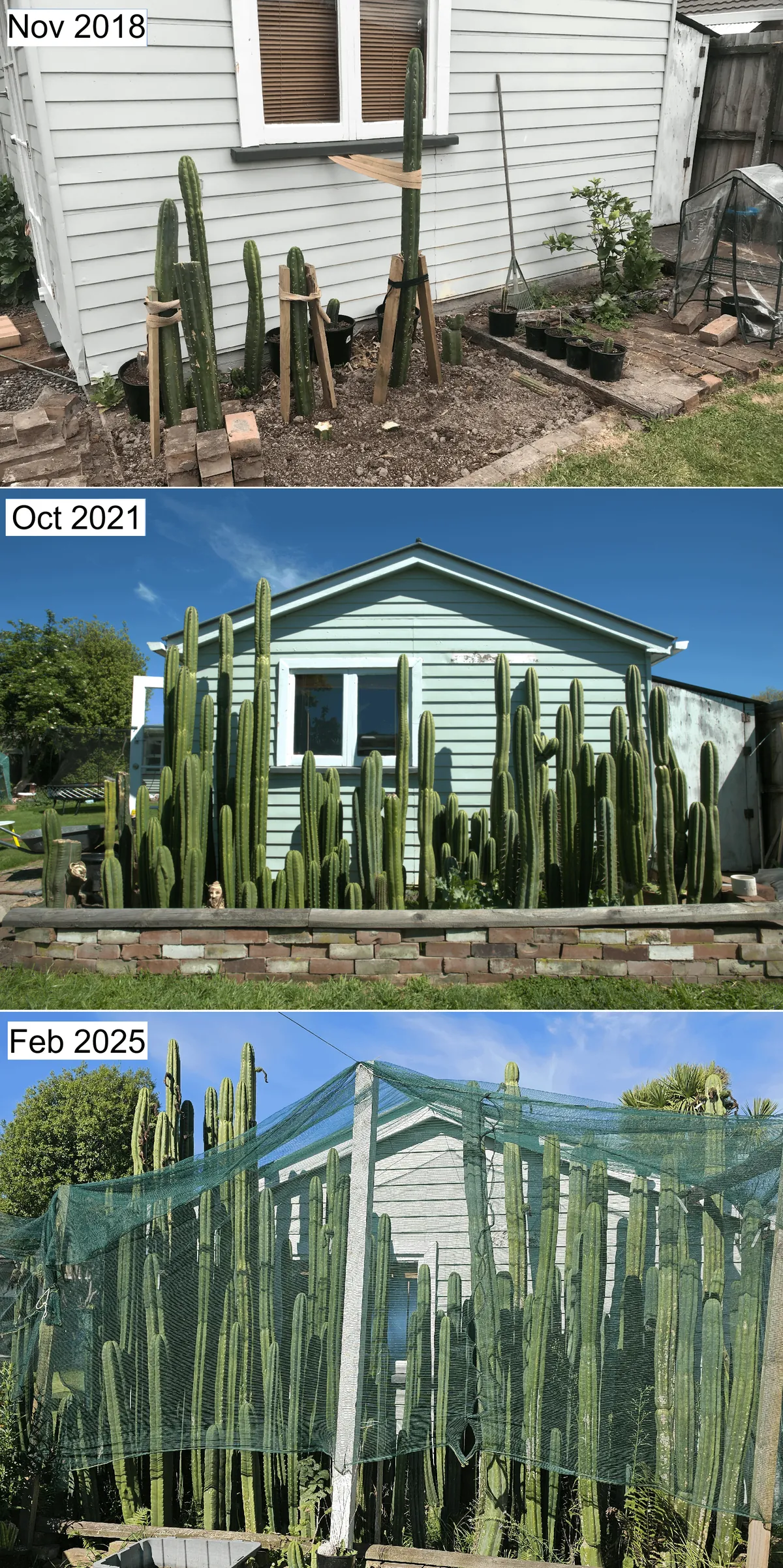 A bit unhinged, yes, but swipe for the flowers