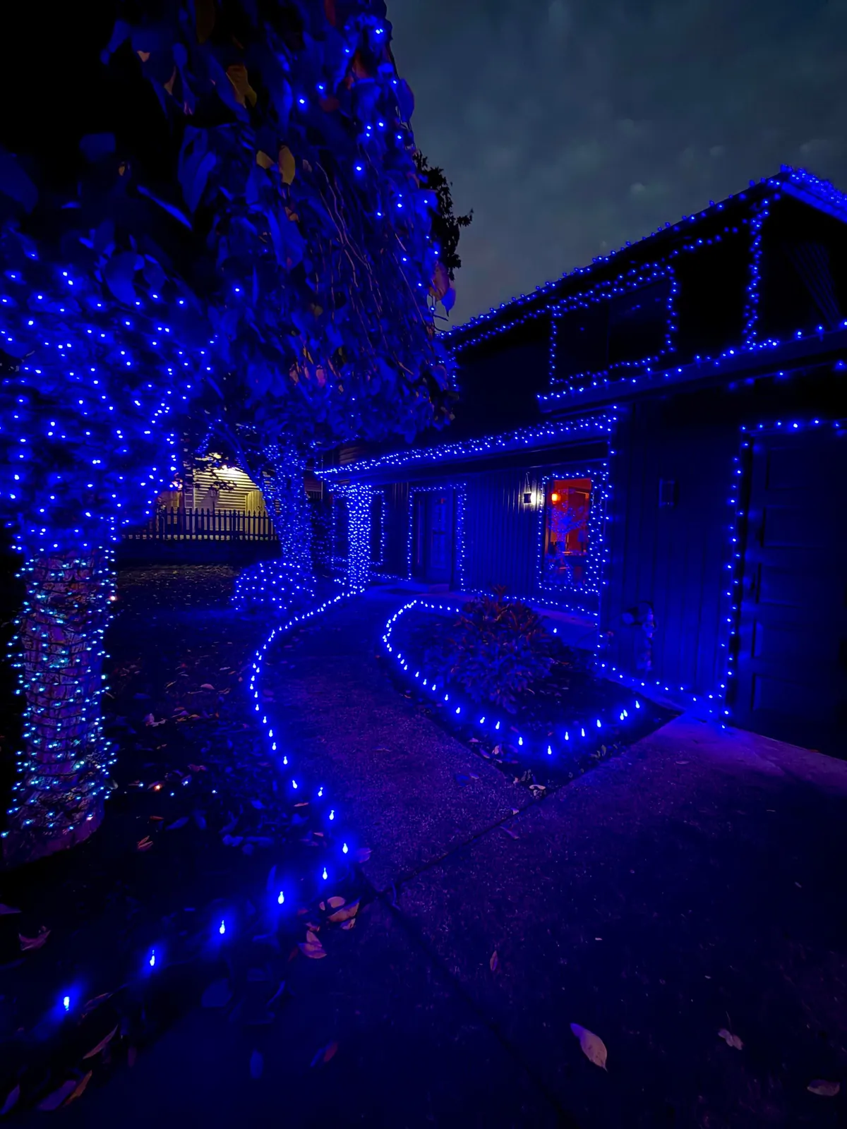 Cozy places in my house.