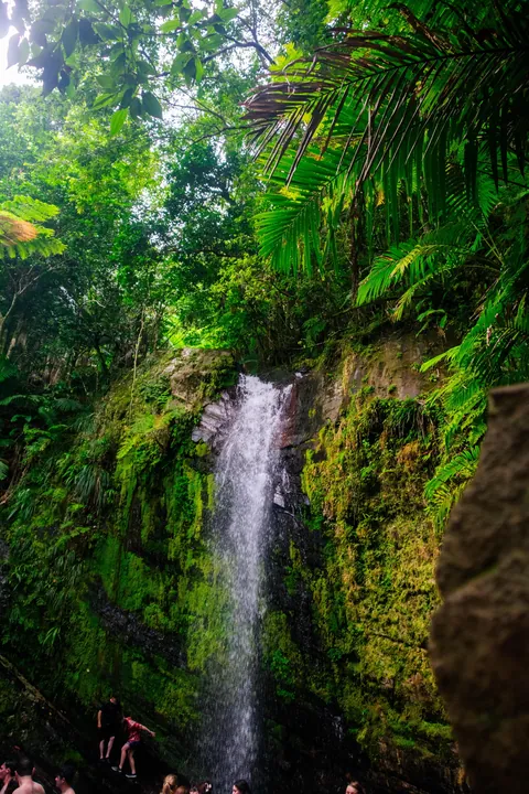 A week in Puerto Rico