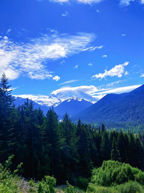 Mount Rainier [3000 x 4000] [OC]