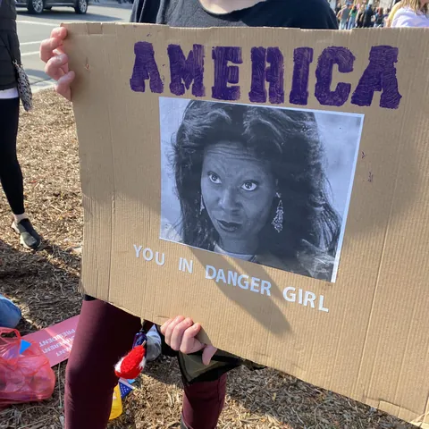 [OC] No Kings Protest, Ferndale Michigan