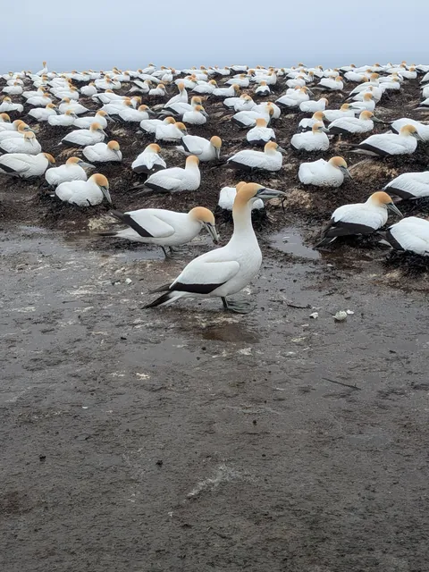 4.5 months in New Zealand