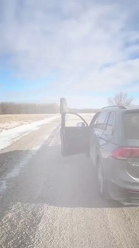 🔥 A Gray owl came to rest
