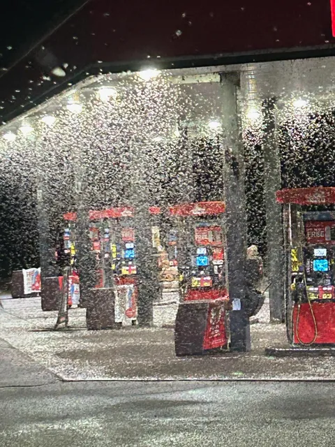 Mayfly "hatch" at the local gas station