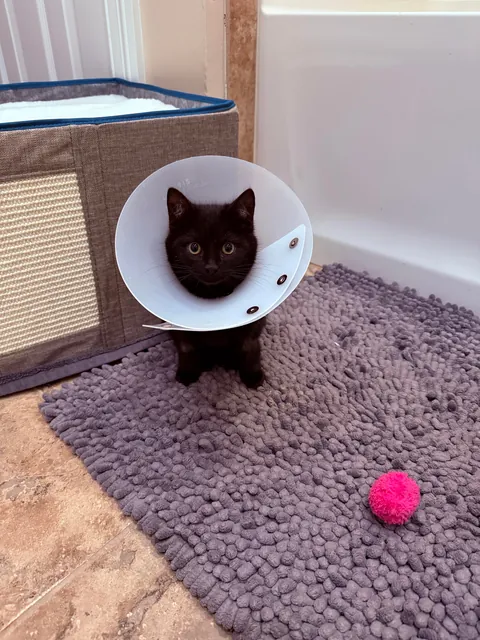 It Feels Like You Blink—Then Suddenly They’re Full-Sized!