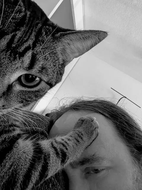 I'm not a cat owner. I'm owned by a cat