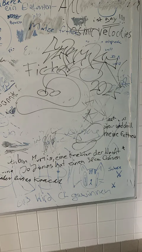 My school put up whiteboards to stop vandalism in the toilet rooms