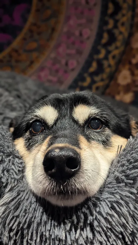 17 and still going strong.