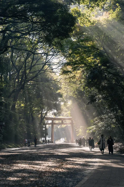 ITAP of light beams shining onto a Meiji Shrine Gate