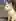 Is it just me or this cat from the food park kinda look like Willem Dafoe?