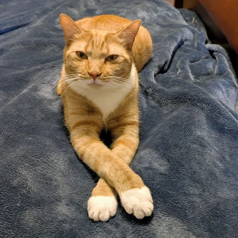 Such a distinguished gentleman!