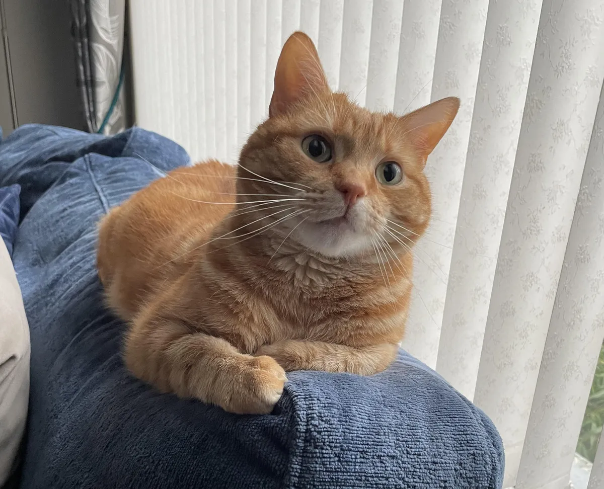 The most handsome boy