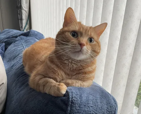 The most handsome boy