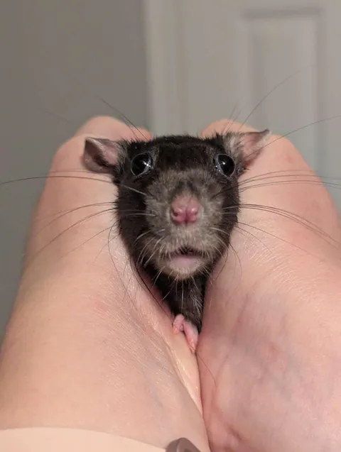 I am crying, why is she making this face???