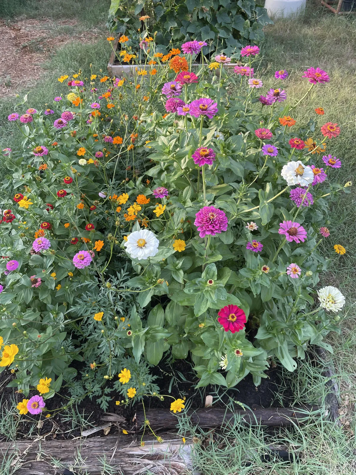 Best dollar and a quarter I’ve ever spent