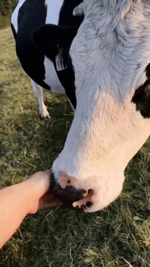 Looks like someone got a little jealous..