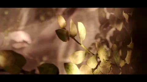 2B X 9S (NieR: Automata) [Nyash]