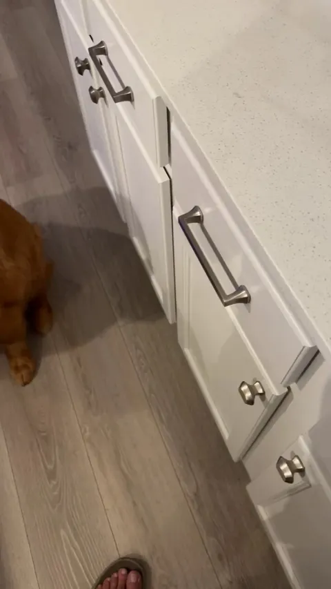 The eyes are delivering millions of judgments