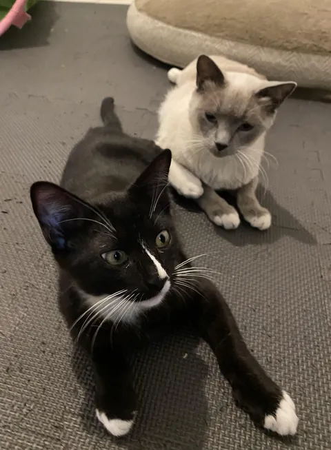 I got my little white boots from my mom 😌