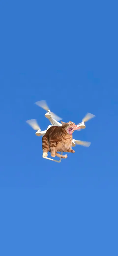 Jetpack Cat Cosplay