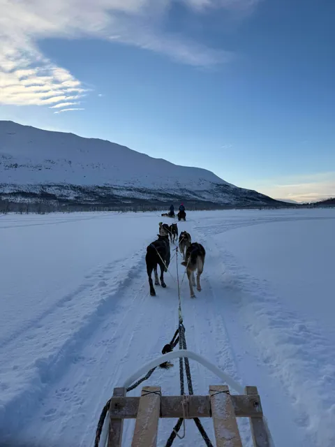 Saw the northern lights for the first time in Tromso, Norway