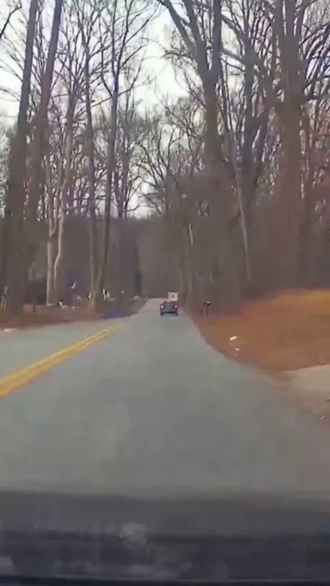 [Oc] Sure, Pass The Mail Truck Before a Blind Turn