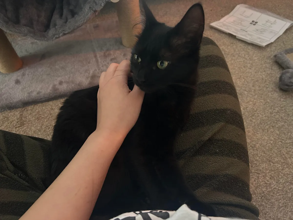 not even 24 hrs after i got her!! we’re having a great time &lt;3