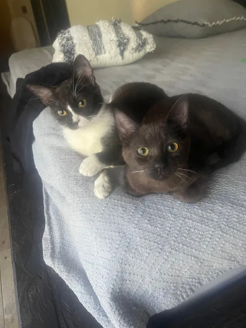 How it started vs how it’s going