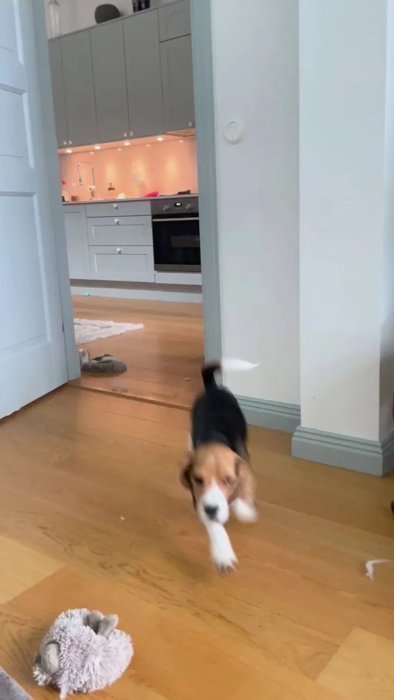 This is my life right now 