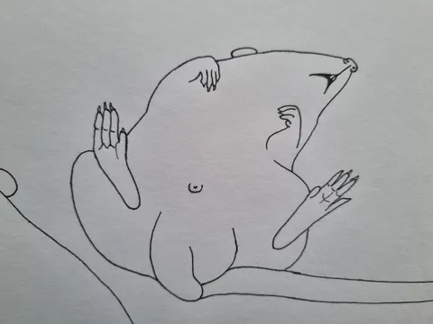 Some humorous ratty sketches