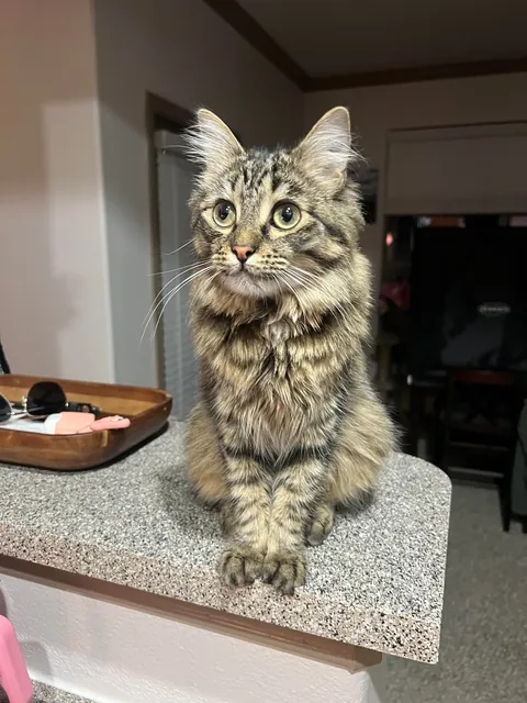 Everyone wish Bobo a happy 1st birthday