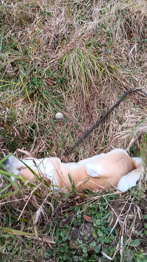 [OC]He saved the ball ...but couldn't save himself.