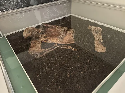 An Irish man from the Roman times preserved in the peat bogs.