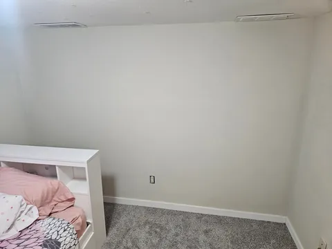 Painted a wall in my daughters room.