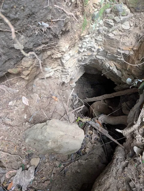 I found a camcorder in the woods of Japan