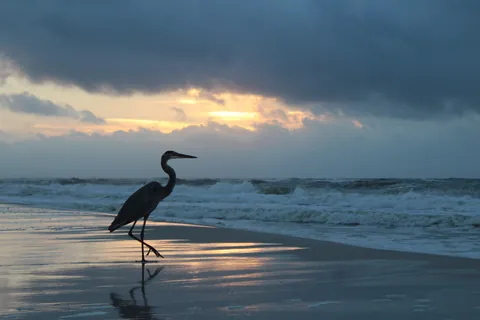 Lay into it, I want to learn