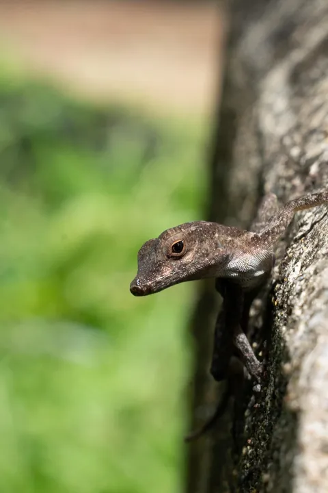 Puerto Rico Highlights from Our Family Trip 🇵🇷