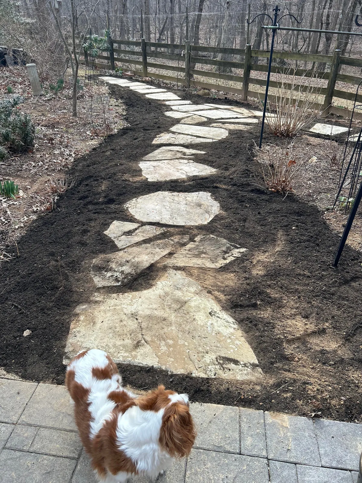 Progress March 3 to May 10