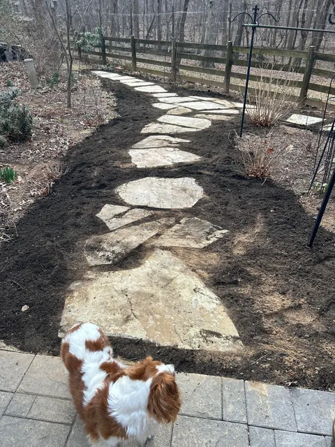 Progress March 3 to May 10