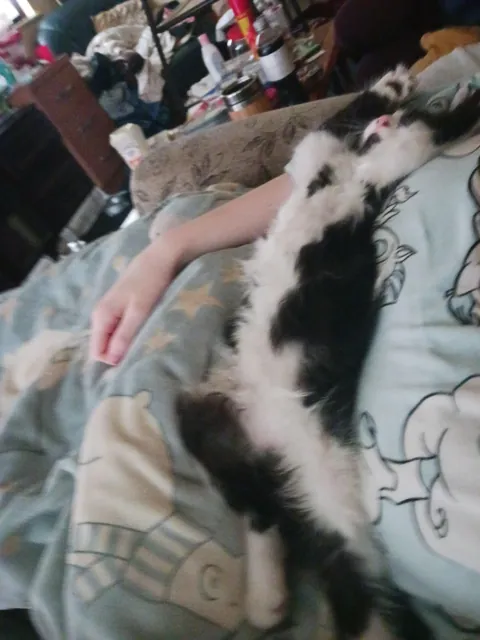 She might have a favourite sleeping position