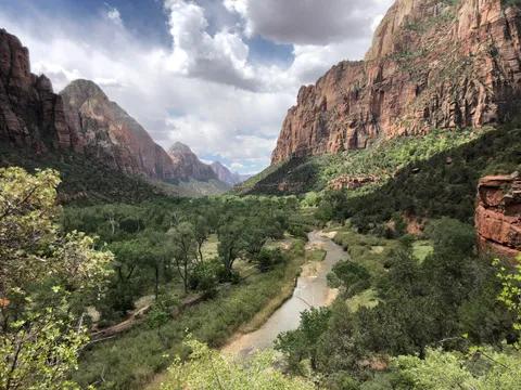 Yesterday in Zion National Park, Utah.